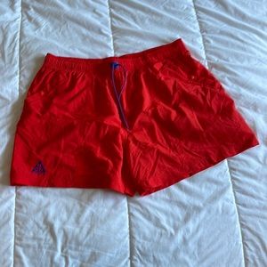 Nike ACG shorts